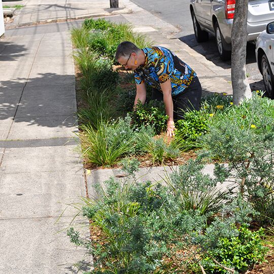 A person in a very bright blue shirt kneeling in a nature verge tending to plants